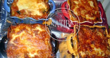 lasagne à la viande et épinard